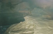 031-A pair of polar bears at Sea World
